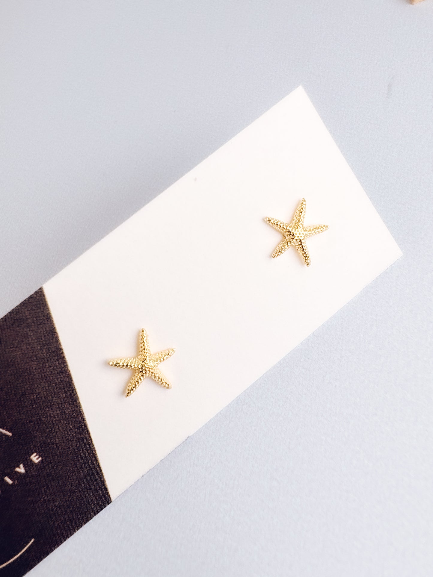 Starfish Stud Earrings