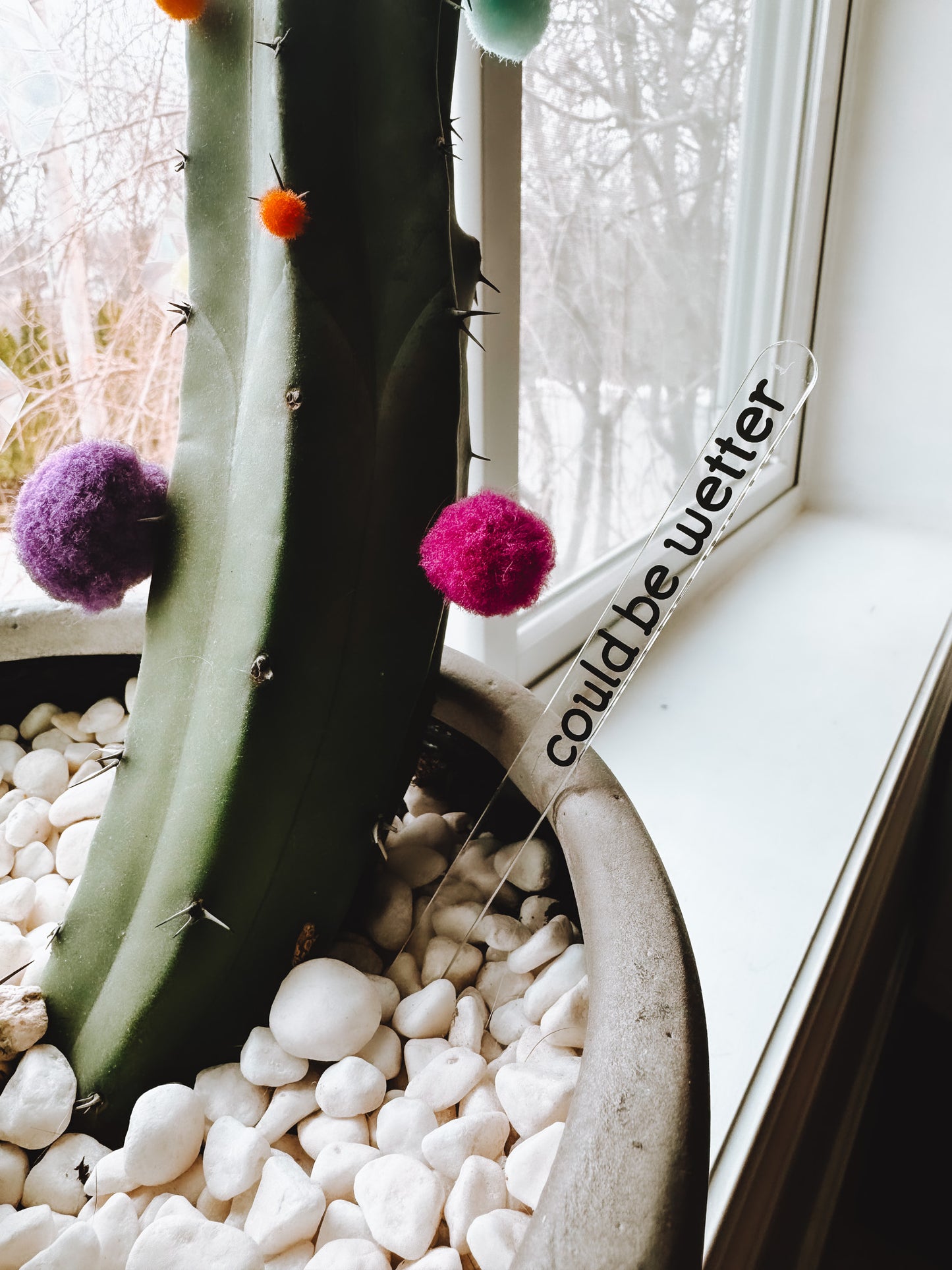 Funny Plant Stakes (4 Pack) - Lors Collective