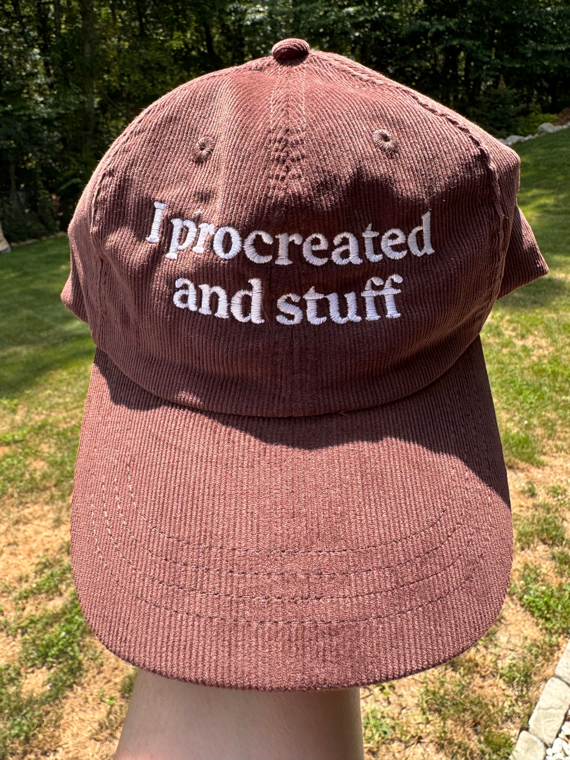 Embroidered Hat- 'I procreated and stuff', Fathers Day gift, Mothers Day gift, Gag Gift, Custom hats - Lors Collective