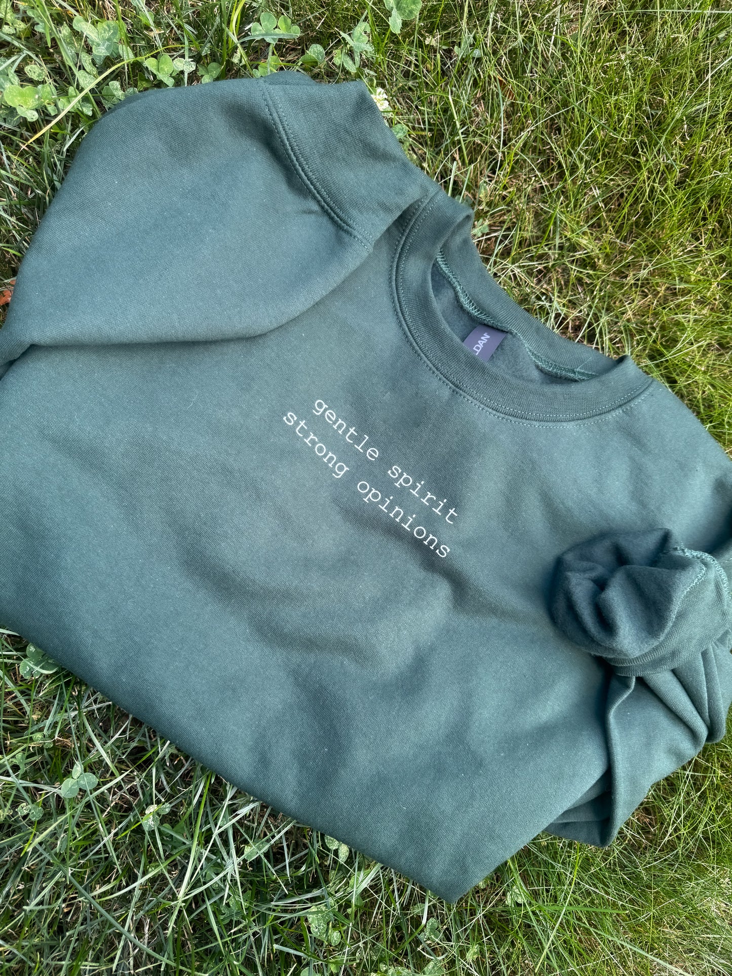 Gentle Spirit, Strong Opinions Sweatshirt