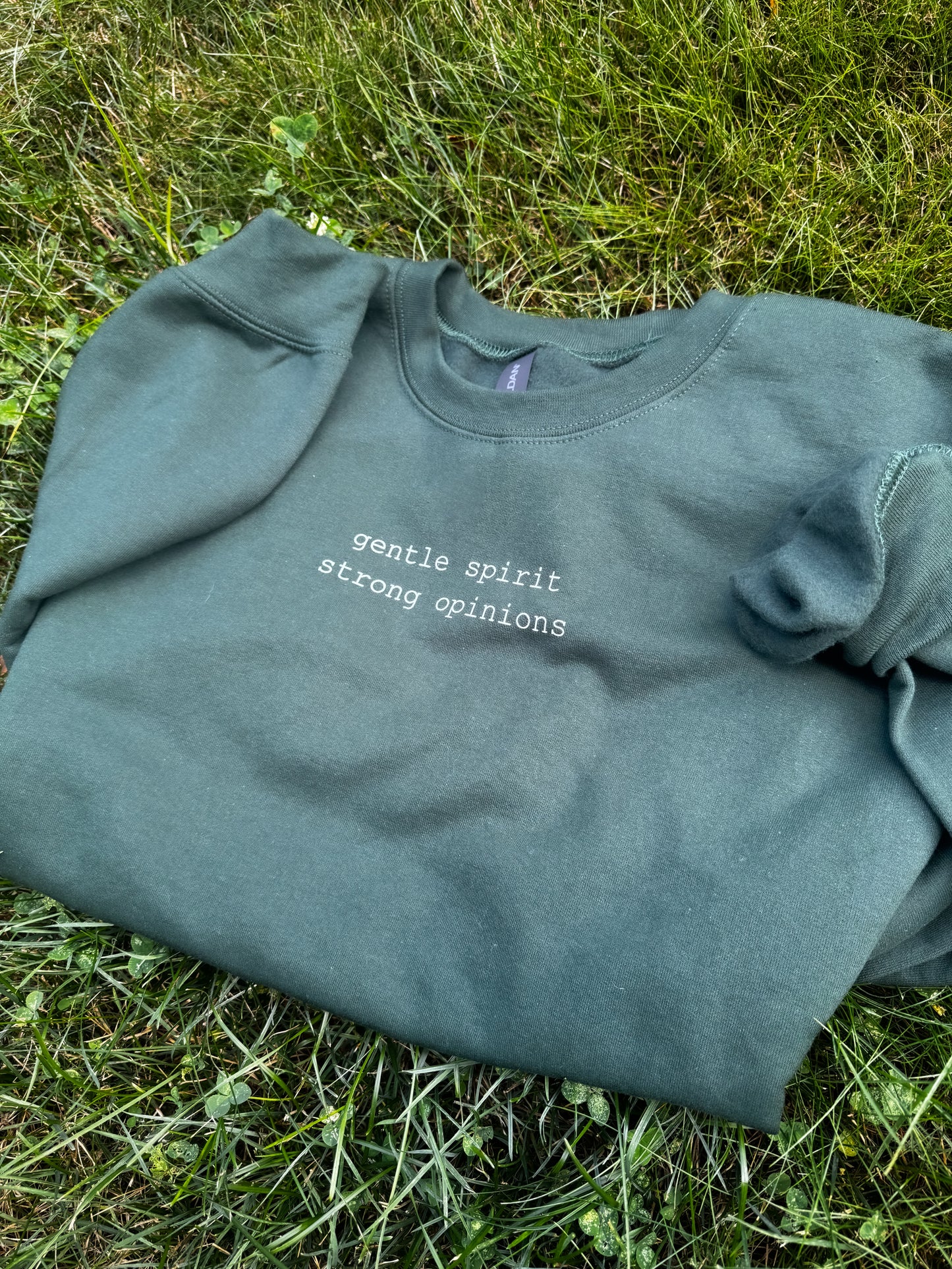 Gentle Spirit, Strong Opinions Sweatshirt