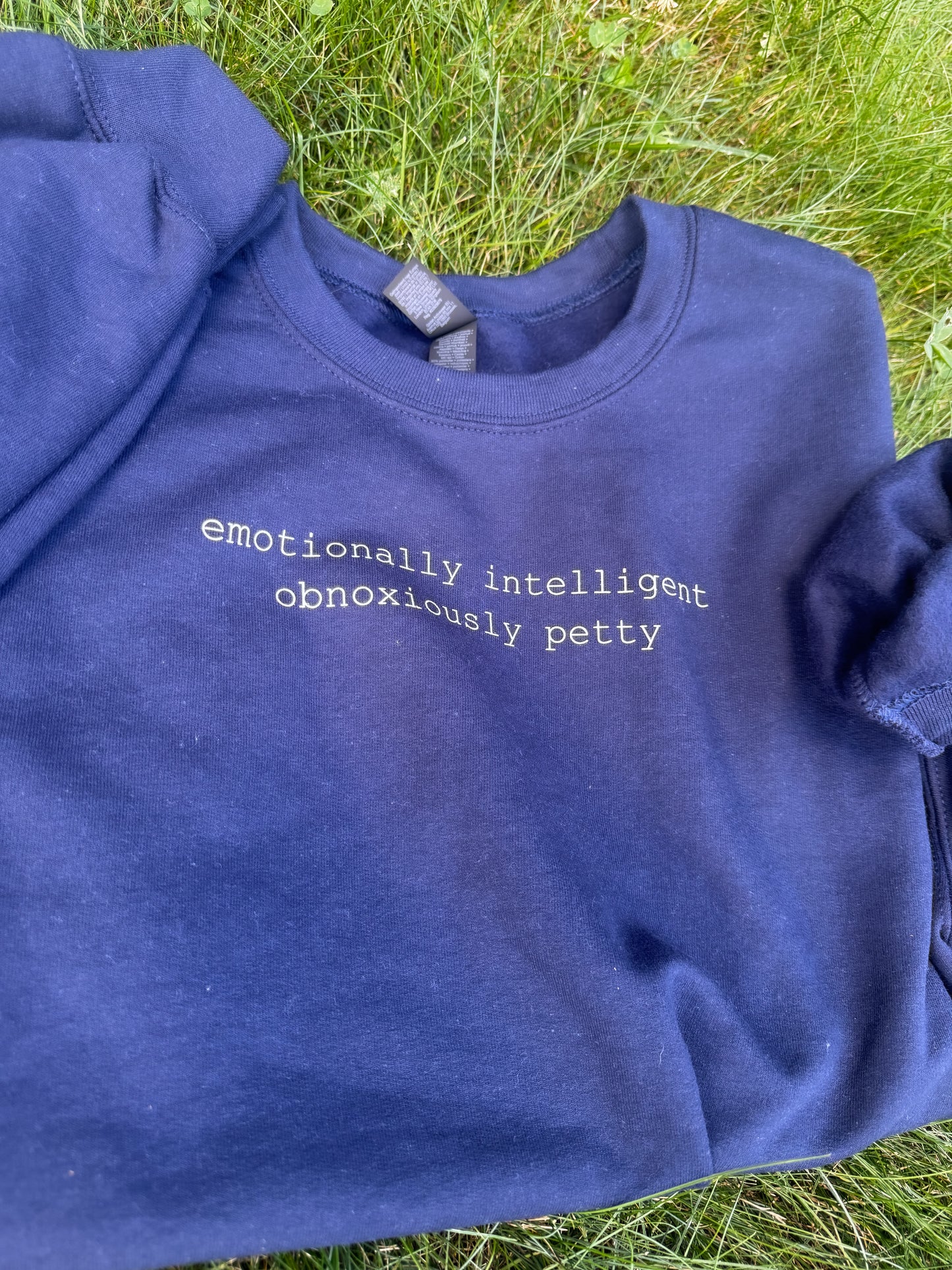 Emotionally Intelligent, Obnoxiously Petty Sweatshirt