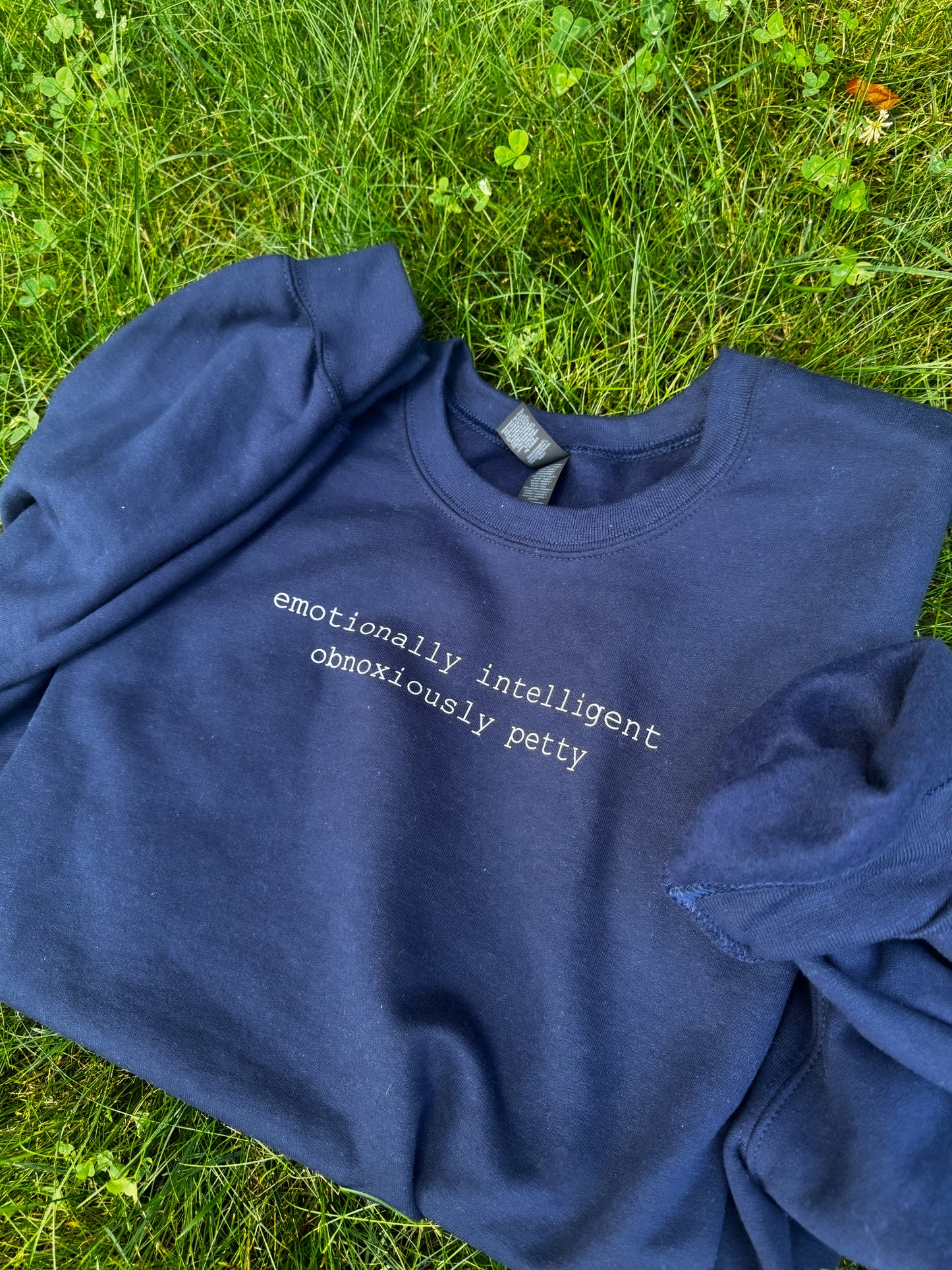 Emotionally Intelligent, Obnoxiously Petty Sweatshirt