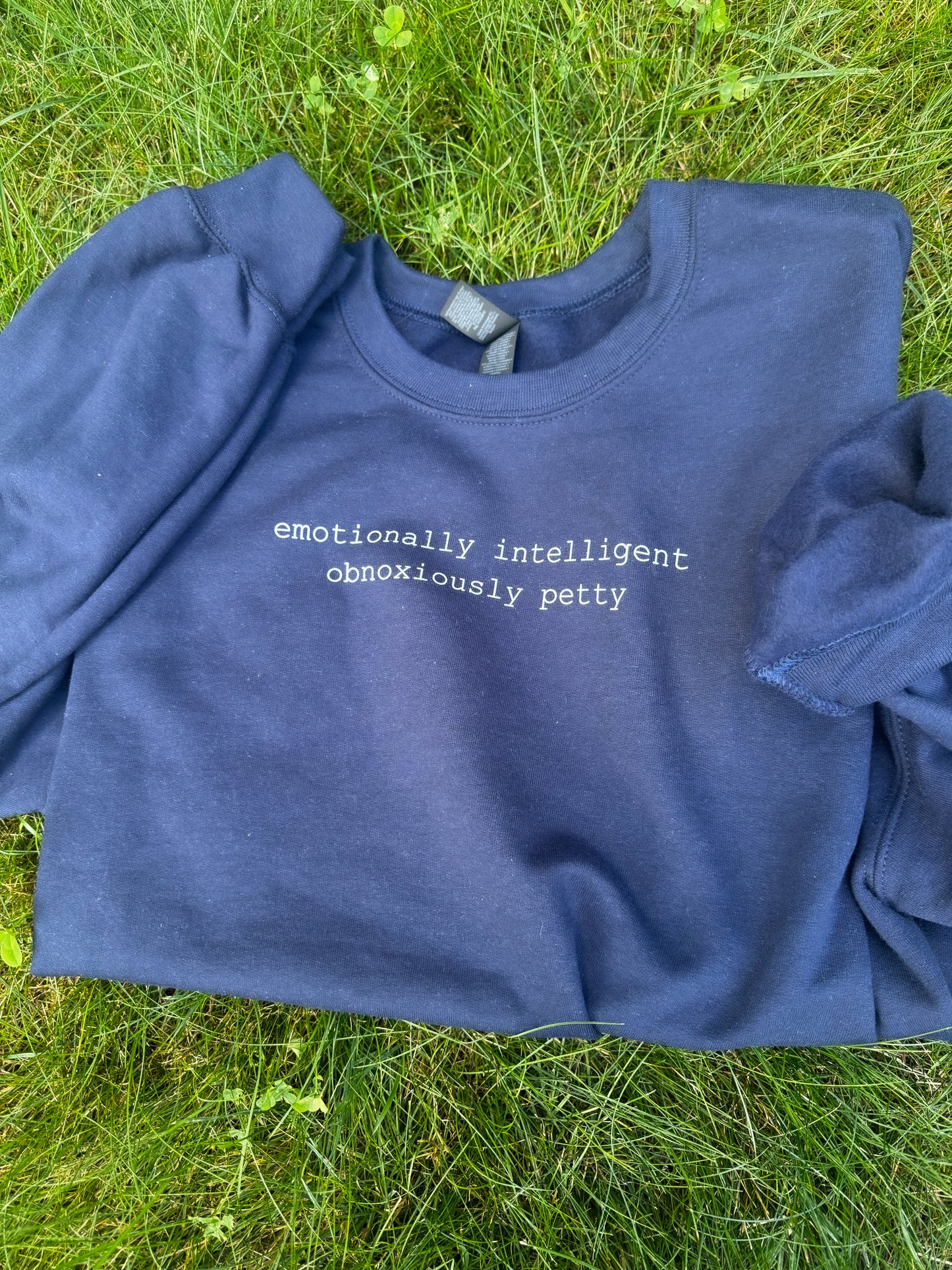 Emotionally Intelligent, Obnoxiously Petty Sweatshirt