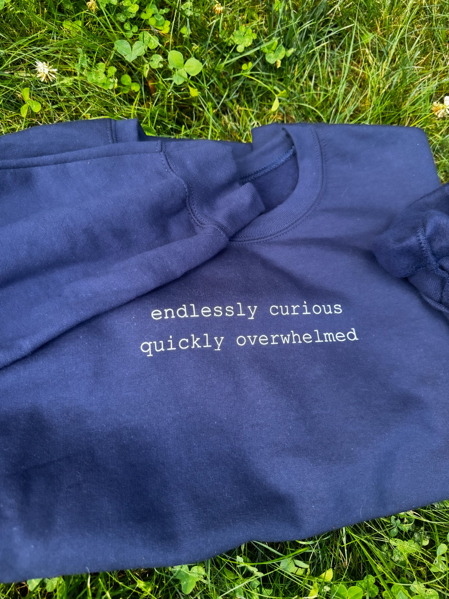 Endlessly Curious, Quickly Overwhelmed Sweatshirt