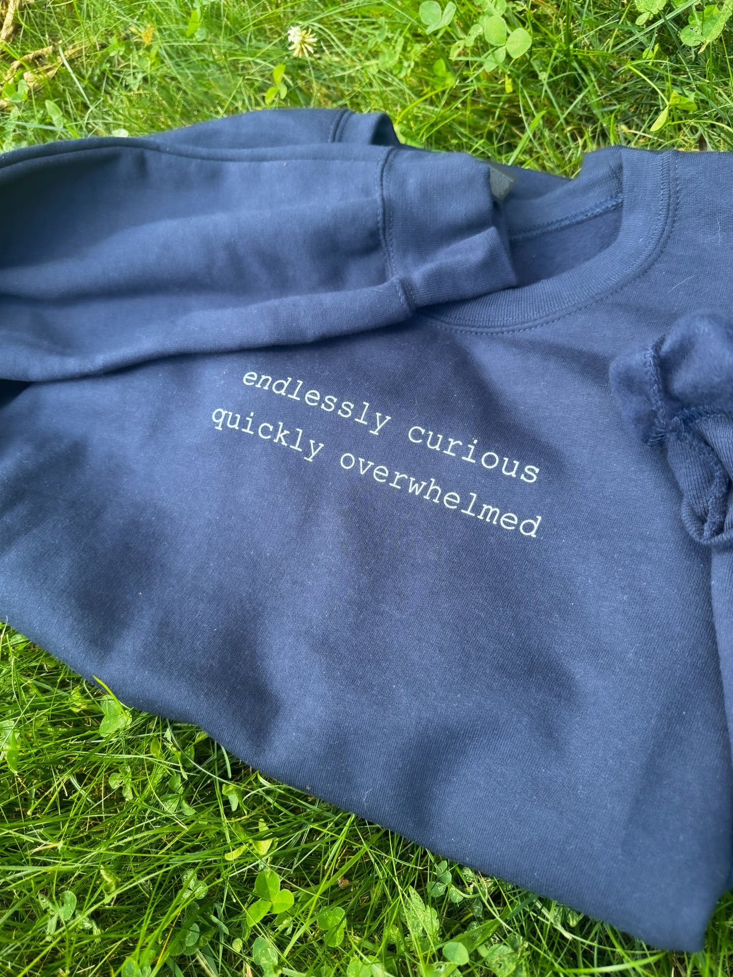 Endlessly Curious, Quickly Overwhelmed Sweatshirt