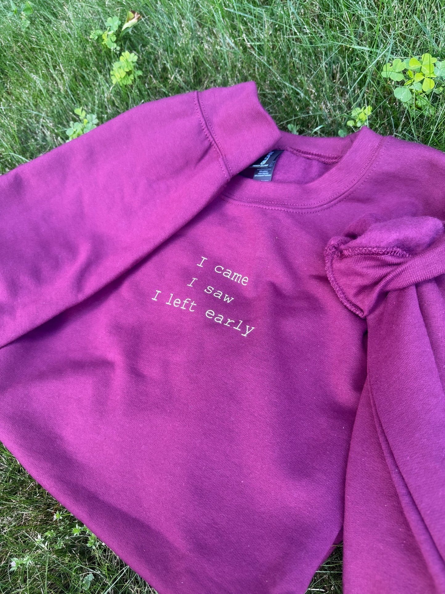 I came, I saw, I left early Sweatshirt