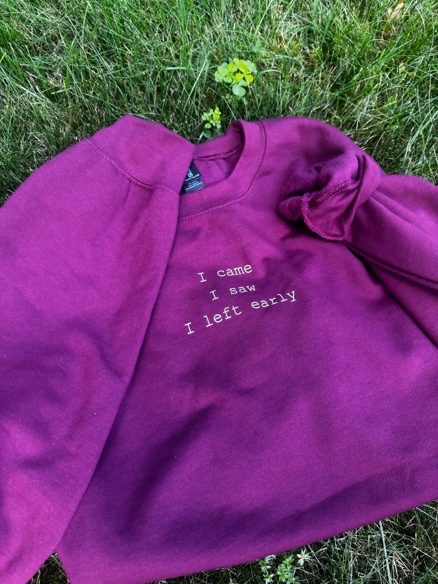 I came, I saw, I left early Sweatshirt