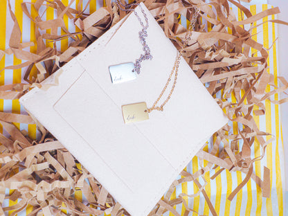 Dainty Dick Necklace