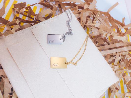 Dainty Dick Necklace