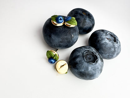 Blueberries with decorative elements on a white background