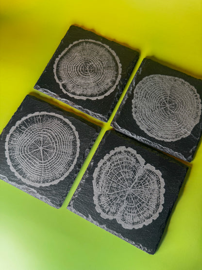 Tree-Ring Slate Coaster Set (4-Pack)