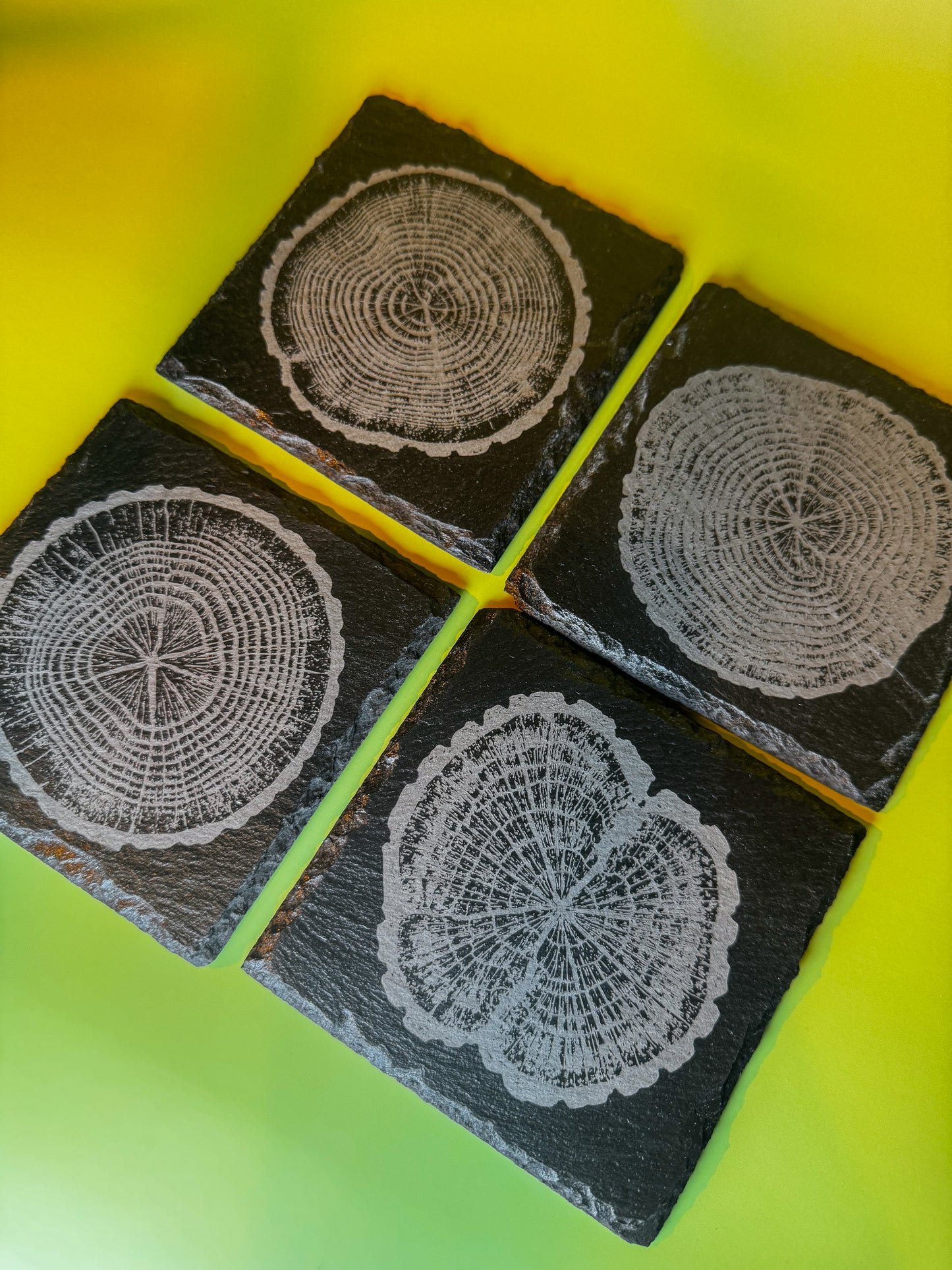 Tree-Ring Slate Coaster Set (4-Pack)