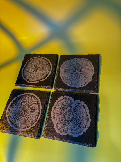 Tree-Ring Slate Coaster Set (4-Pack)