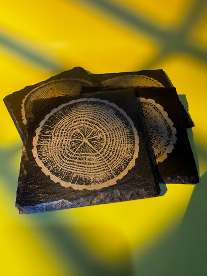 Tree-Ring Slate Coaster Set (4-Pack)