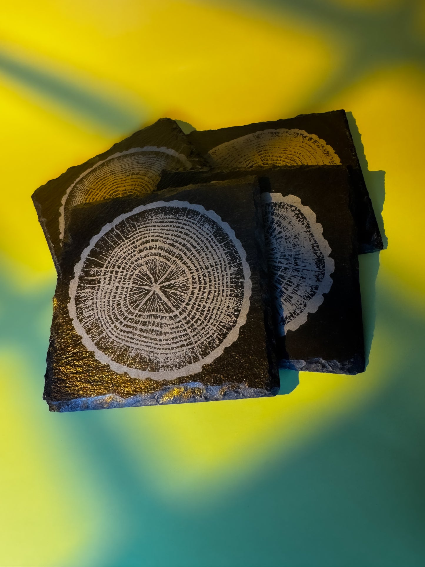 Tree-Ring Slate Coaster Set (4-Pack)