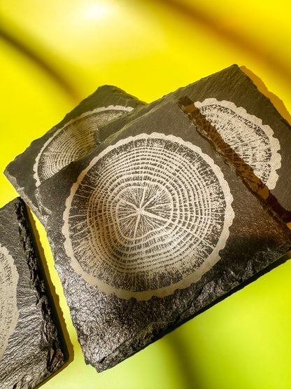 Tree-Ring Slate Coaster Set (4-Pack)