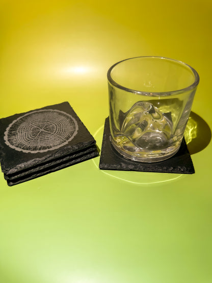 Tree-Ring Slate Coaster Set (4-Pack)