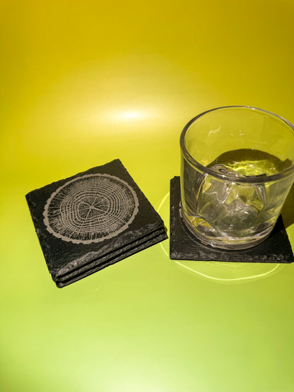 Tree-Ring Slate Coaster Set (4-Pack)