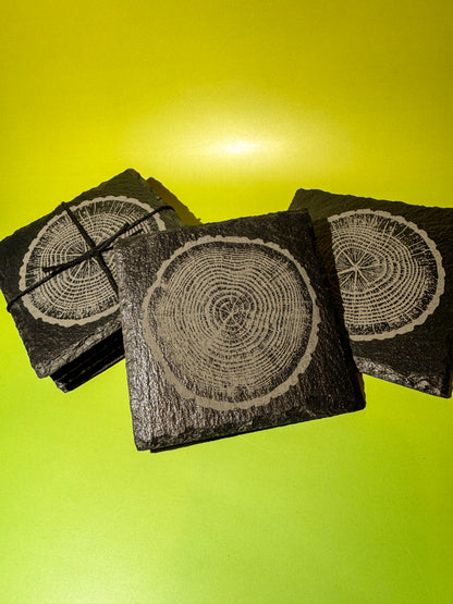 Tree-Ring Slate Coaster Set (4-Pack)
