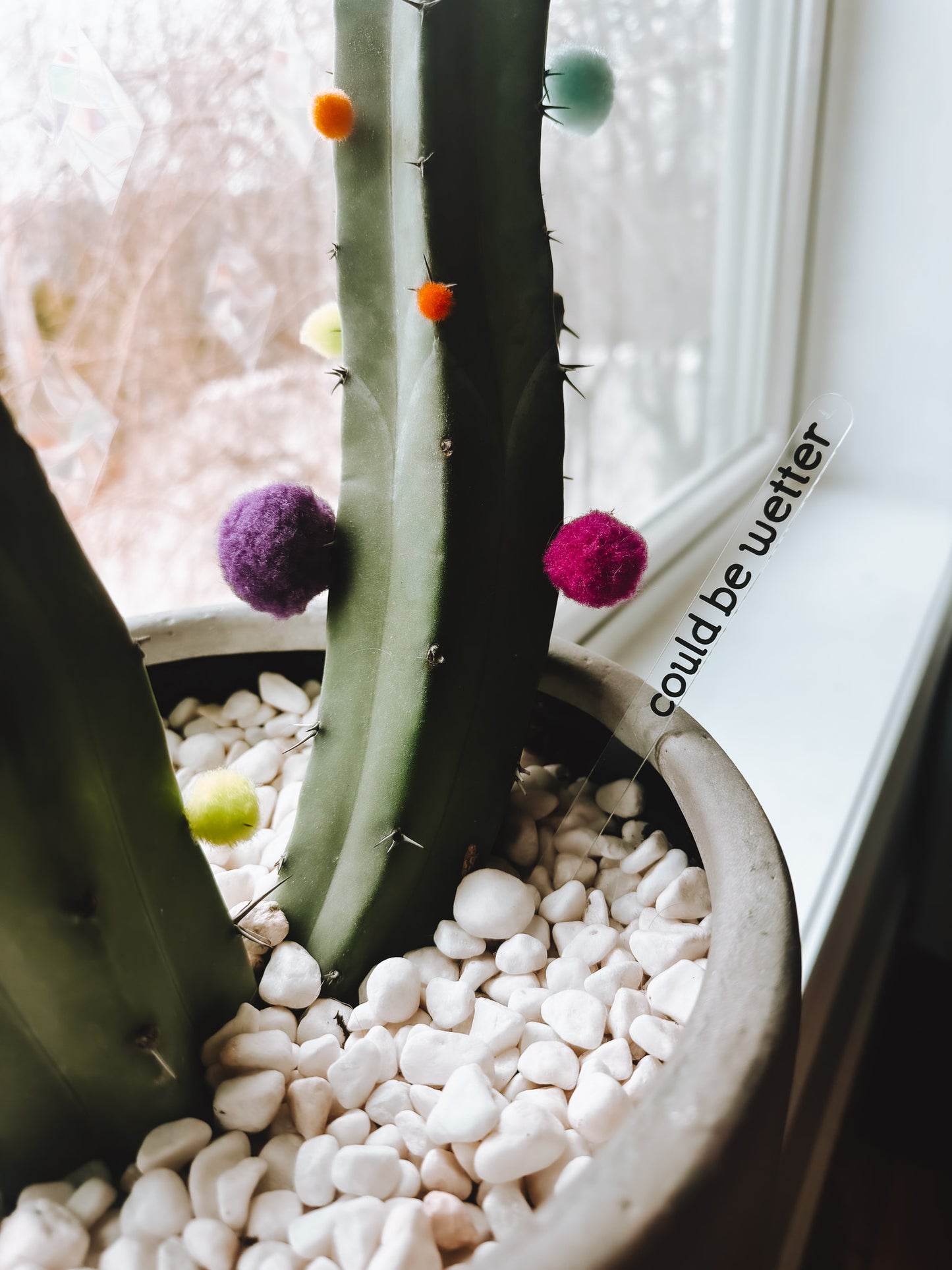 Funny Plant Stakes (4 Pack) - Lors Collective