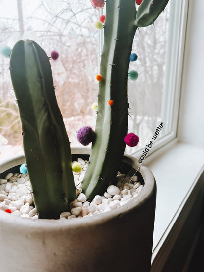 Funny Plant Stakes (4 Pack) - Lors Collective