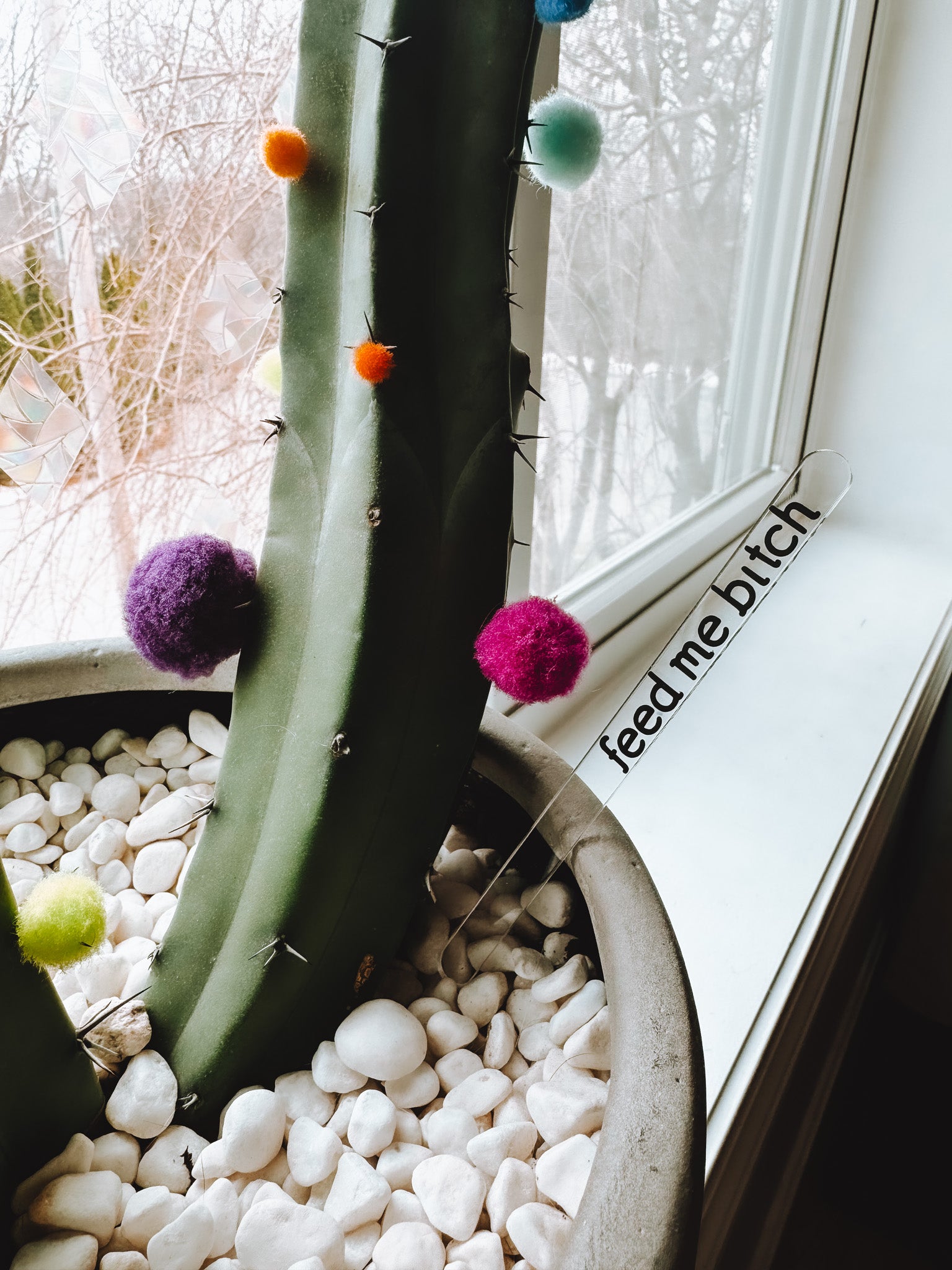Funny Plant Stakes (4 Pack) - Lors Collective