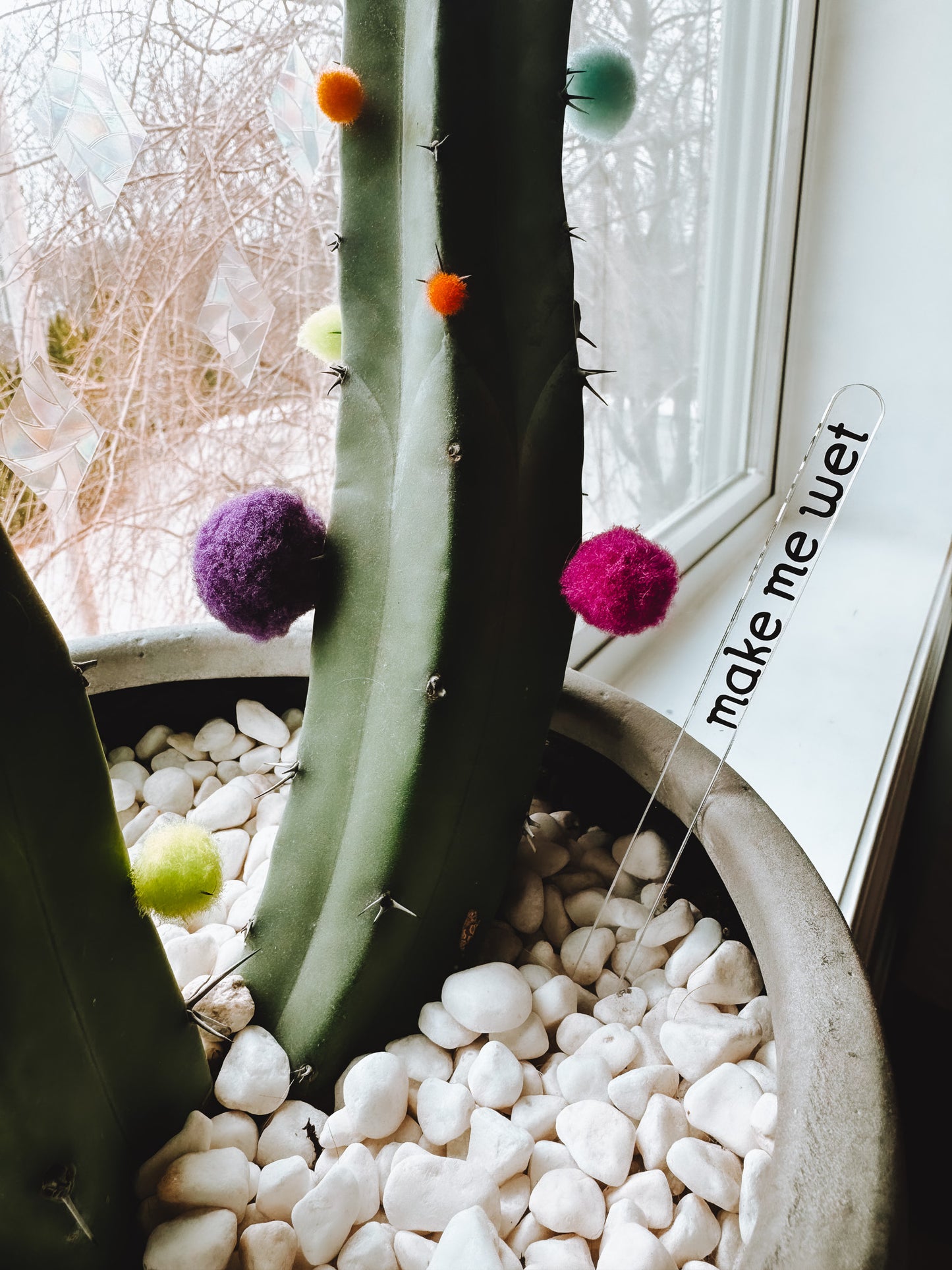 Funny Plant Stakes (4 Pack) - Lors Collective