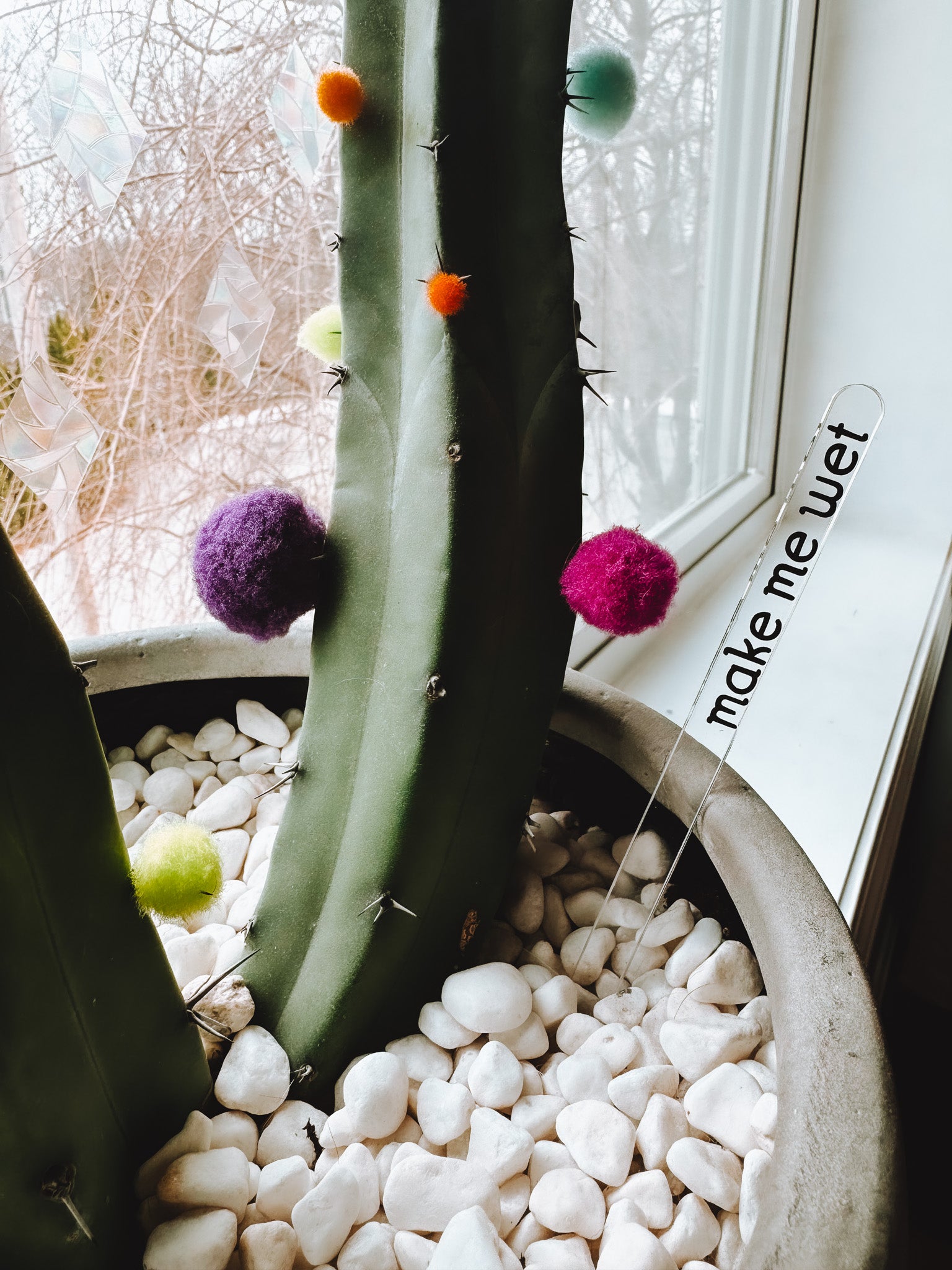 Funny Plant Stakes (4 Pack) - Lors Collective