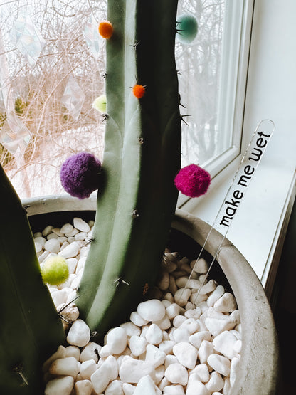 Funny Plant Stakes (4 Pack) - Lors Collective