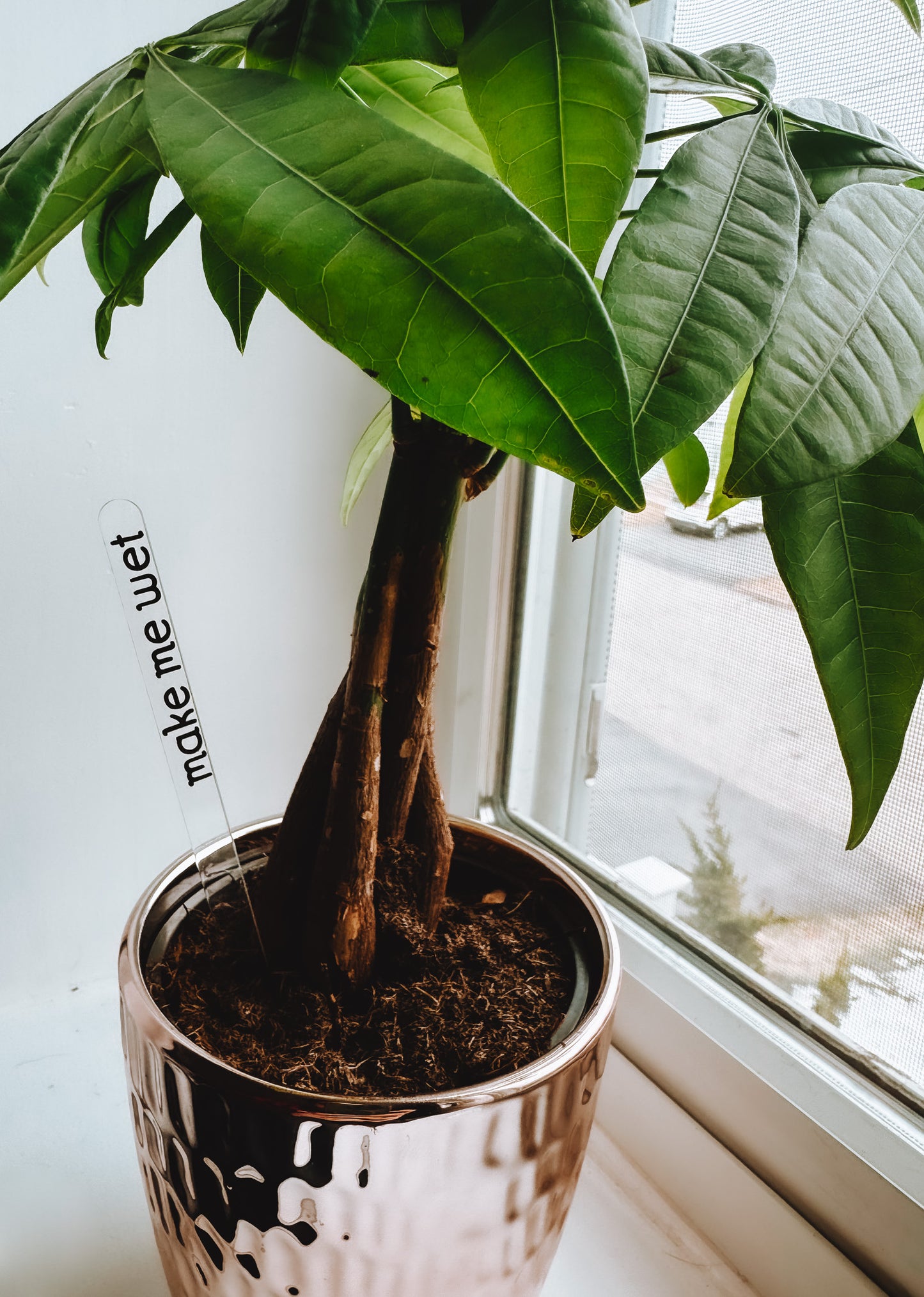 Funny Plant Stakes (4 Pack) - Lors Collective