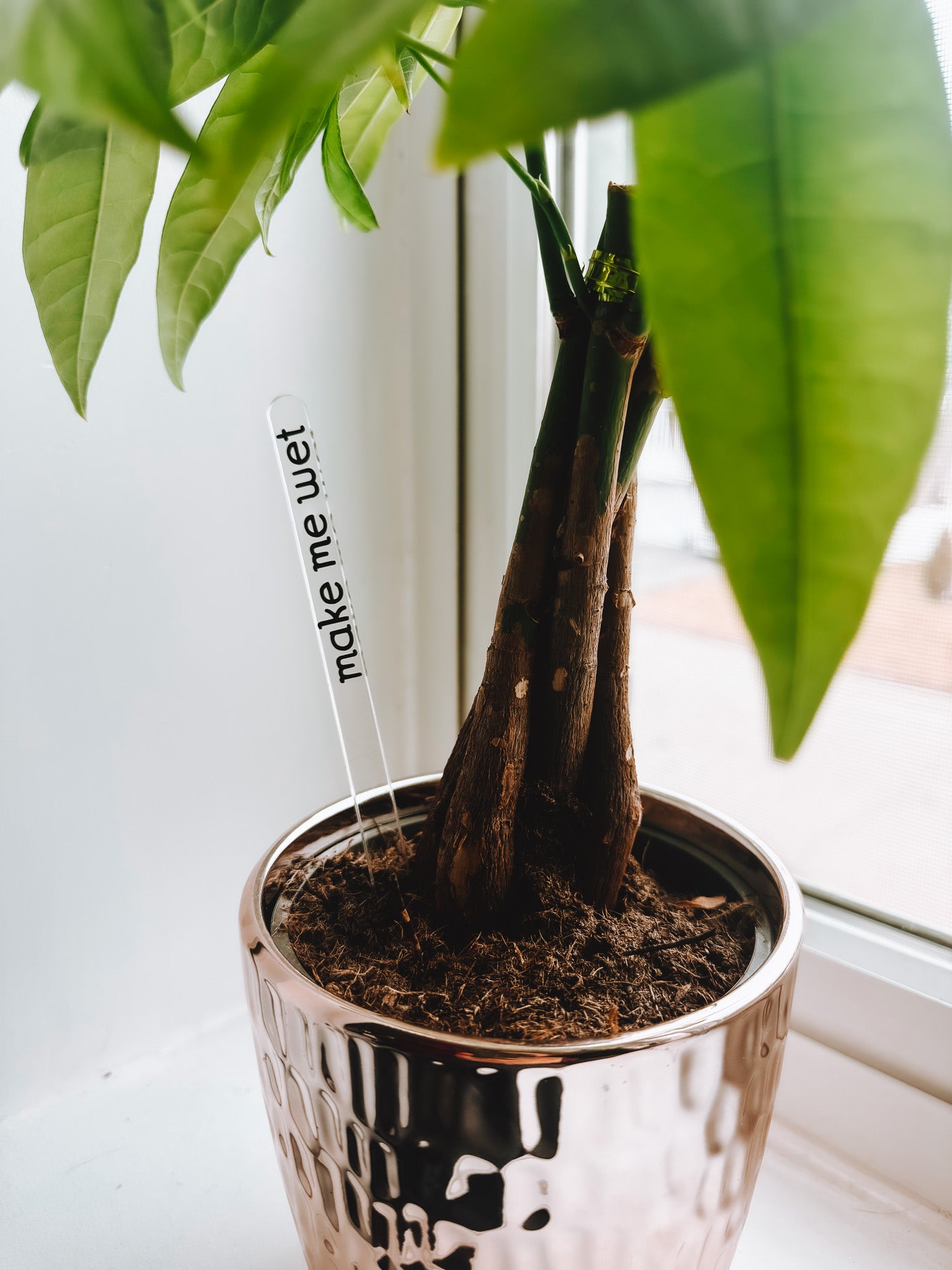 Funny Plant Stakes (4 Pack) - Lors Collective