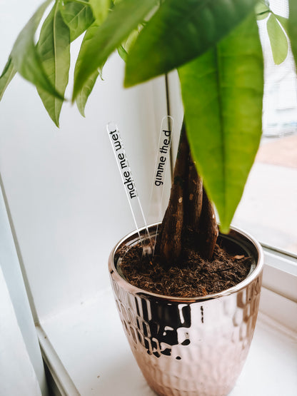 Funny Plant Stakes (4 Pack) - Lors Collective