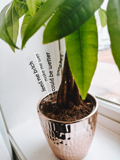 Funny Plant Stakes (4 Pack) - Lors Collective