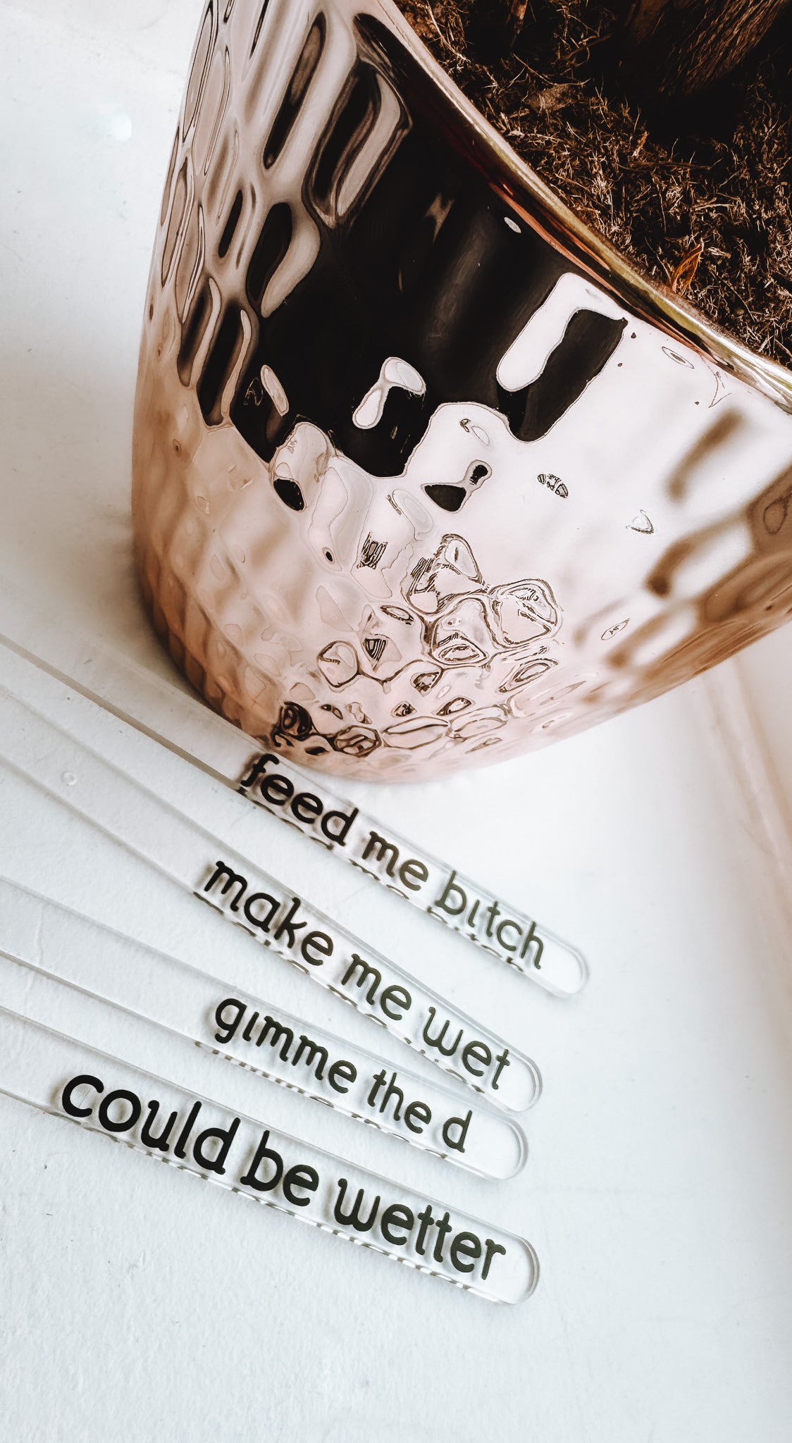 Funny Plant Stakes (4 Pack) - Lors Collective